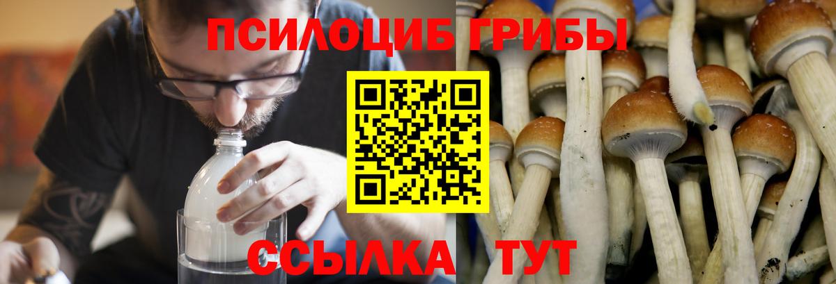 Псилоцибиновые грибы мухоморы  Вход с VPN  Галлюциногенные грибы Cubensis  Северобайкальск 
